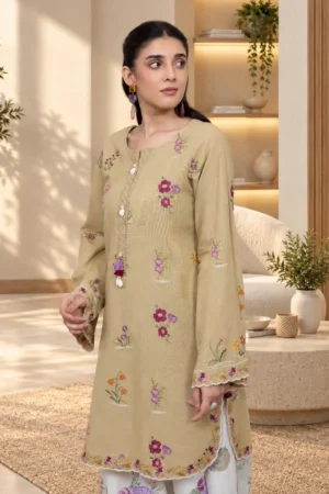 D1-_1 Aveline Embroidered Khaddar Set