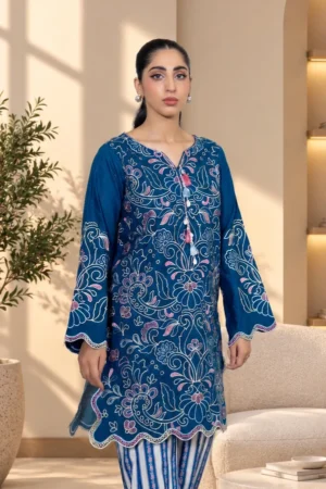 D10-_2_2b2b04bc-03b9-4be1-bf4b-ed86507a3d7c Celeste Embroidered Khaddar Set