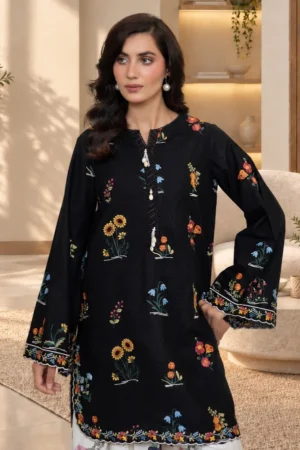 D2-_4 Noirelle Embroidered Khaddar Set