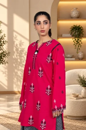 D6-_2_5deb67a7-146f-4e24-a74d-b6683a91ec53 Blossom Embroidered Khaddar Set
