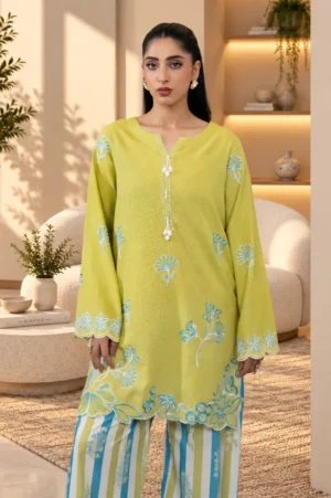 Mintelle Embroidered Khaddar Set