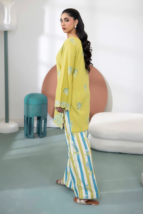 Mintelle Embroidered Khaddar Set
