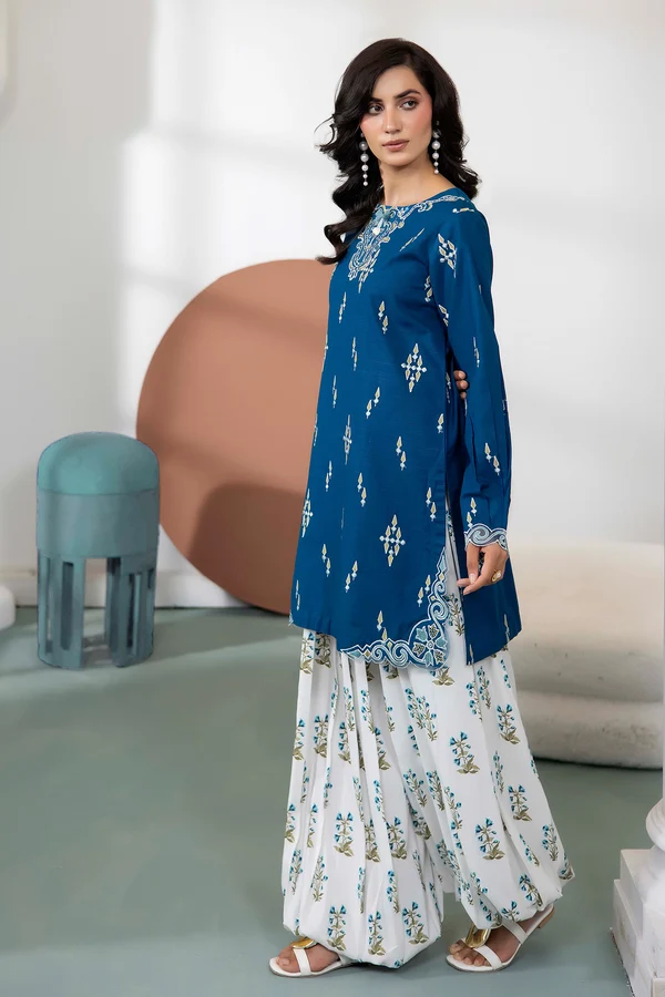 WinterBreezeKhaddar_2_-D19_2 Azure Embroidered Khaddar Set