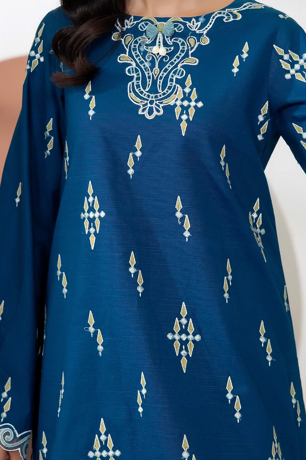 WinterBreezeKhaddar_2_-D19_4 Azure Embroidered Khaddar Set