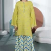 WinterD4_1yelo Liora Embroidered Khaddar Set