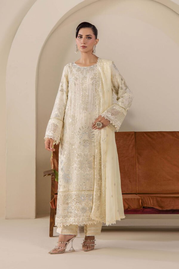 1-D10_1_5d7c6229-c284-46ce-bcd3-849c4b16cbce.jpg NOOR CHIFFON 05