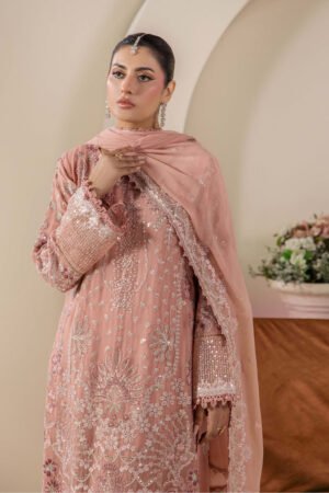 1-D6_2_5f76b668-362b-4c96-a0bc-3e3e67017d30.jpg NOOR CHIFFON 01