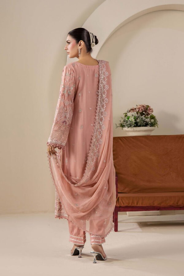 1-D6_3_2a87be39-e1de-40d7-8c79-83e0e79e73b0.jpg NOOR CHIFFON 01