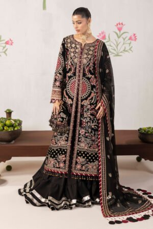 3 PIECE - EMBROIDERED LUXURY VELVET - D10