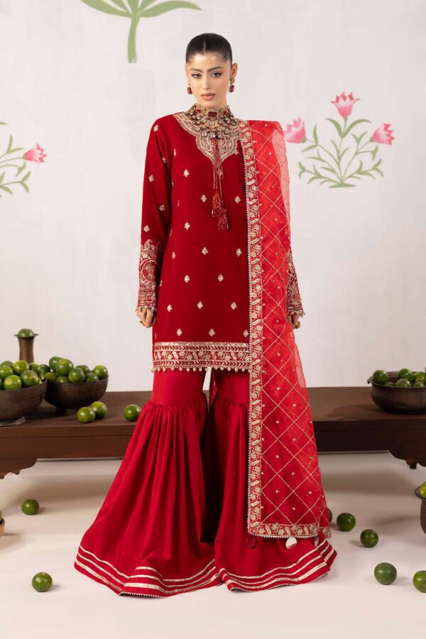 Velvet-D6_1.jpg 3 PIECE - EMBROIDERED LUXURY VELVET - D06