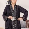 3 PIECE - EMBROIDERED CHIFFON - D10