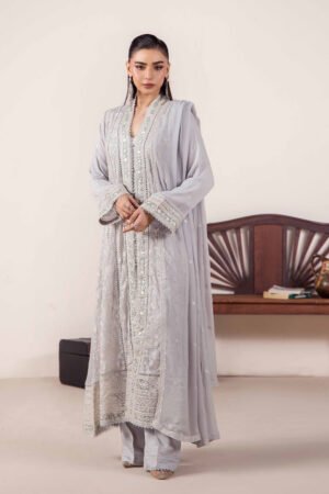 3 PIECE - EMBROIDERED CHIFFON - D01