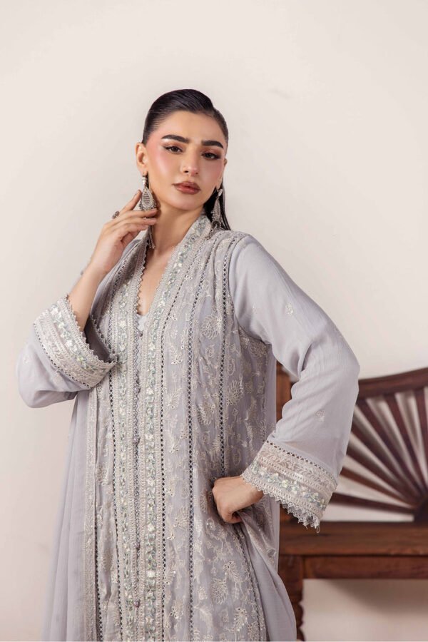 3 PIECE - EMBROIDERED CHIFFON - D01