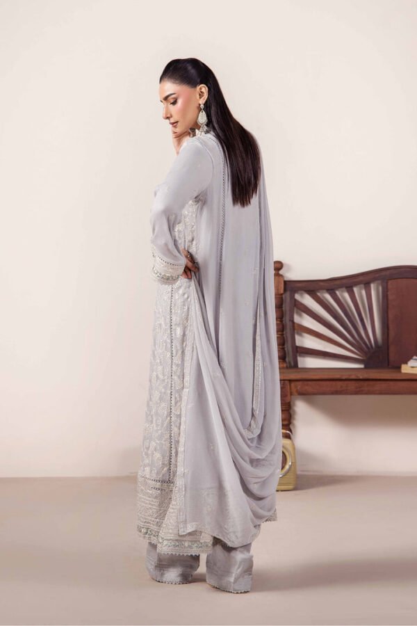 3 PIECE - EMBROIDERED CHIFFON - D01