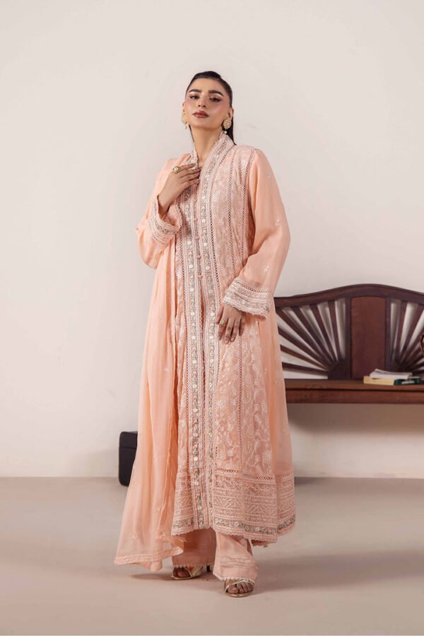 imagesoptimzaition-D2_1_bb988cec-8d05-4a71-b98d-a91b0fcef717.jpg 3 PIECE - EMBROIDERED CHIFFON - D02
