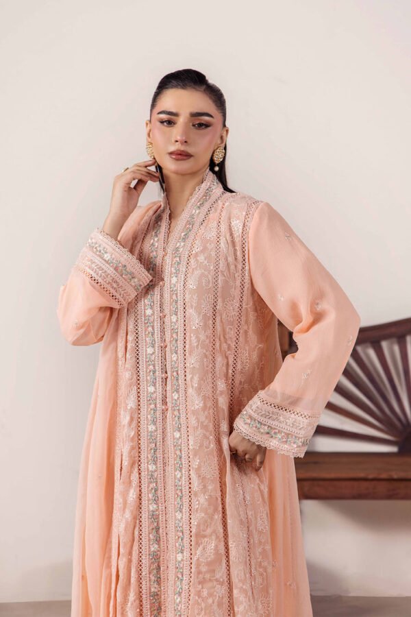 imagesoptimzaition-D2_2_50d00935-5792-4083-8a85-dfdf17a861b5.jpg 3 PIECE - EMBROIDERED CHIFFON - D02