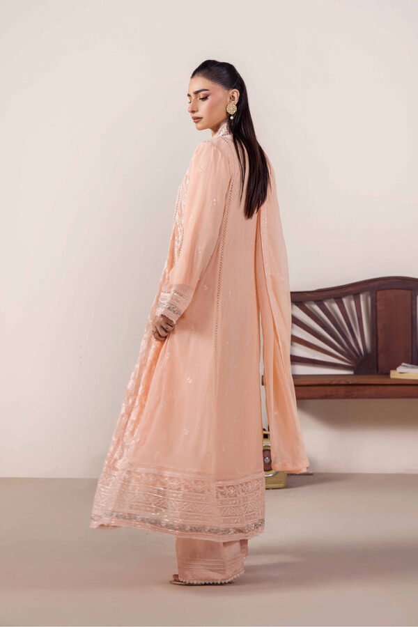 imagesoptimzaition-D2_3_19532428-38b3-4e00-aea4-b1ff5ce39bc6.jpg 3 PIECE - EMBROIDERED CHIFFON - D02