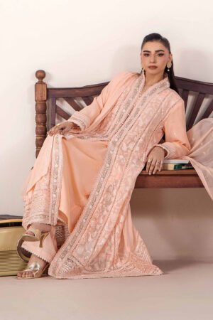 3 PIECE - EMBROIDERED CHIFFON - D02