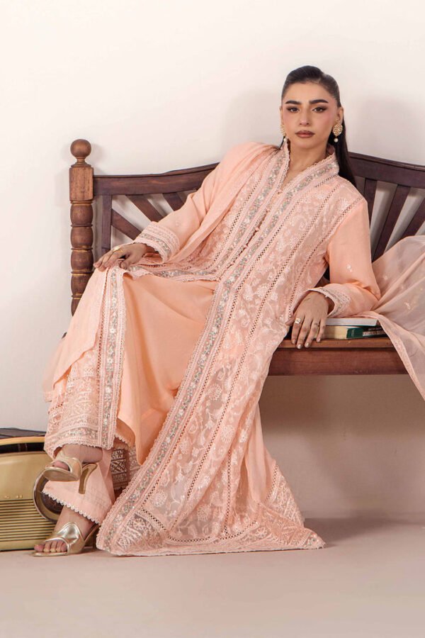imagesoptimzaition-D2_4_6c1c0f4b-21c3-40ed-b8d4-61df9f469634.jpg 3 PIECE - EMBROIDERED CHIFFON - D02