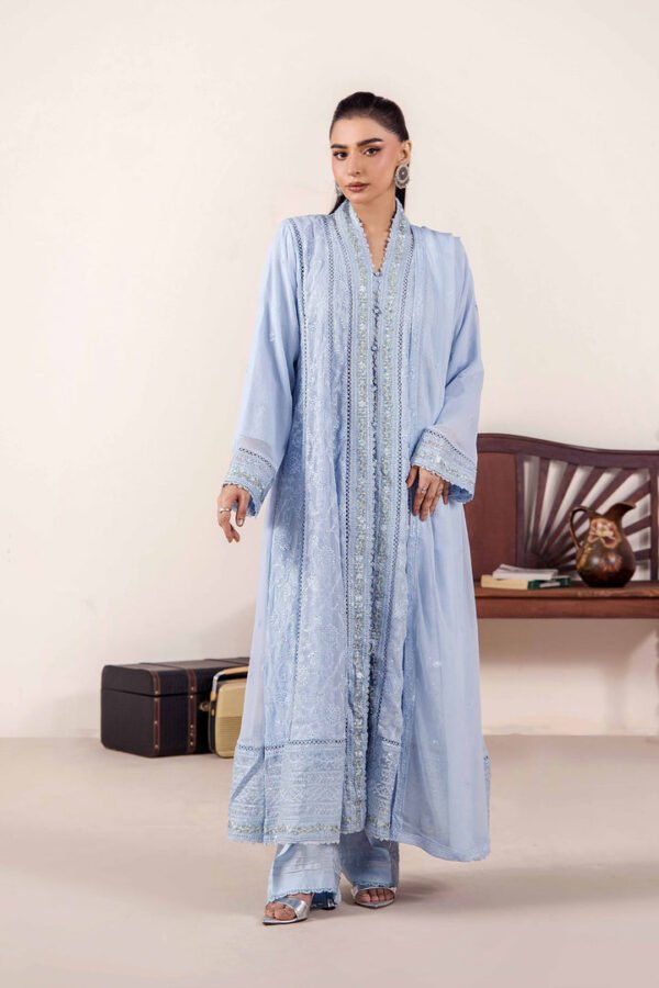 3 PIECE - EMBROIDERED CHIFFON - D03