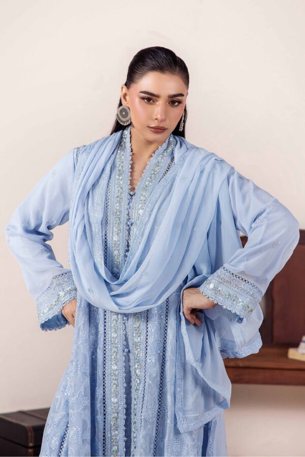 3 PIECE - EMBROIDERED CHIFFON - D03