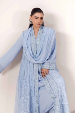 3 PIECE - EMBROIDERED CHIFFON - D03