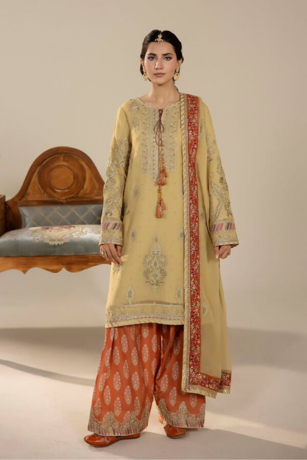 ETHNIC ATTIRE 05