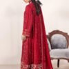 3 PIECE - EMBROIDERED CHIFFON - D06